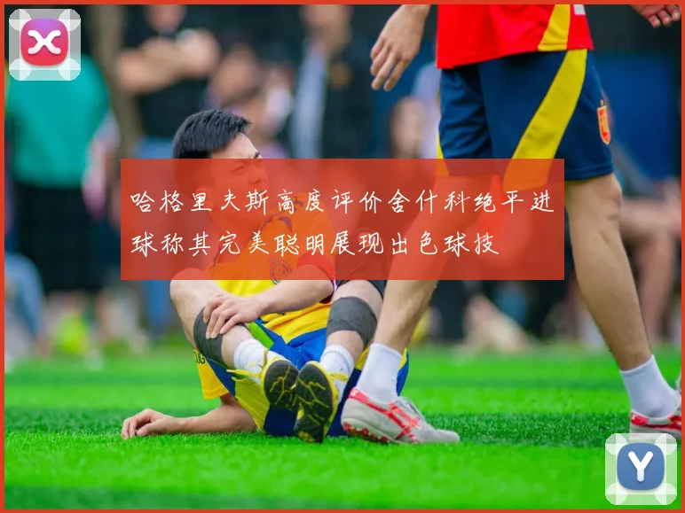 哈格里夫斯高度评价舍什科绝平进球称其完美聪明展现出色球技