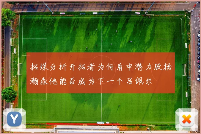 拓媒分析开拓者为何看中潜力股杨瀚森他能否成为下一个吕佩尔