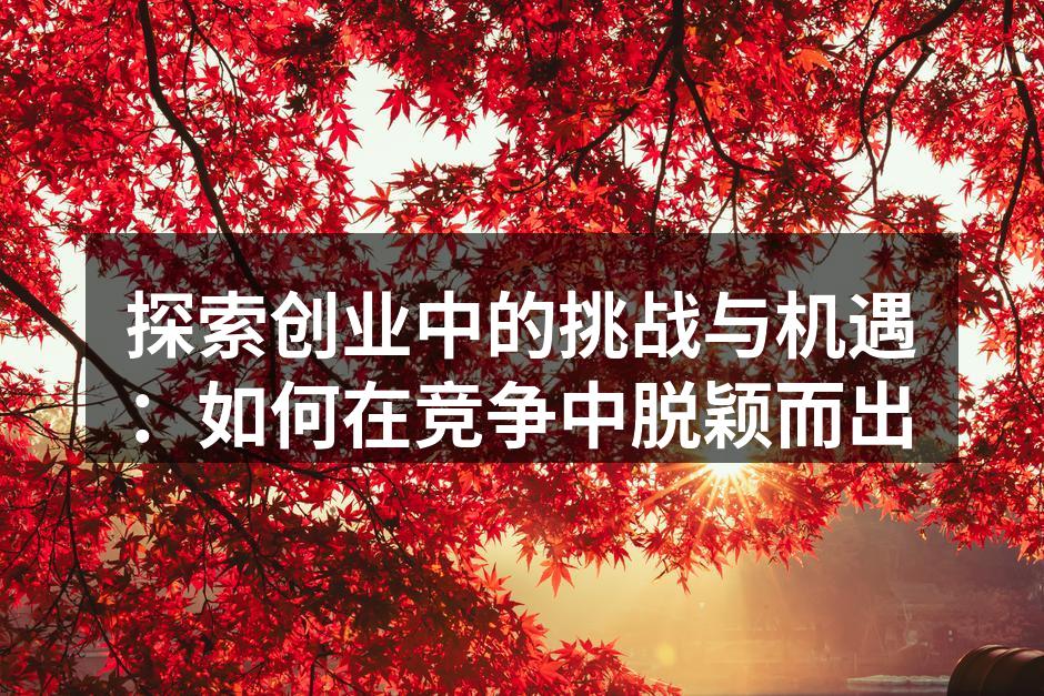 探索创业中的挑战与机遇：如何在竞争中脱颖而出