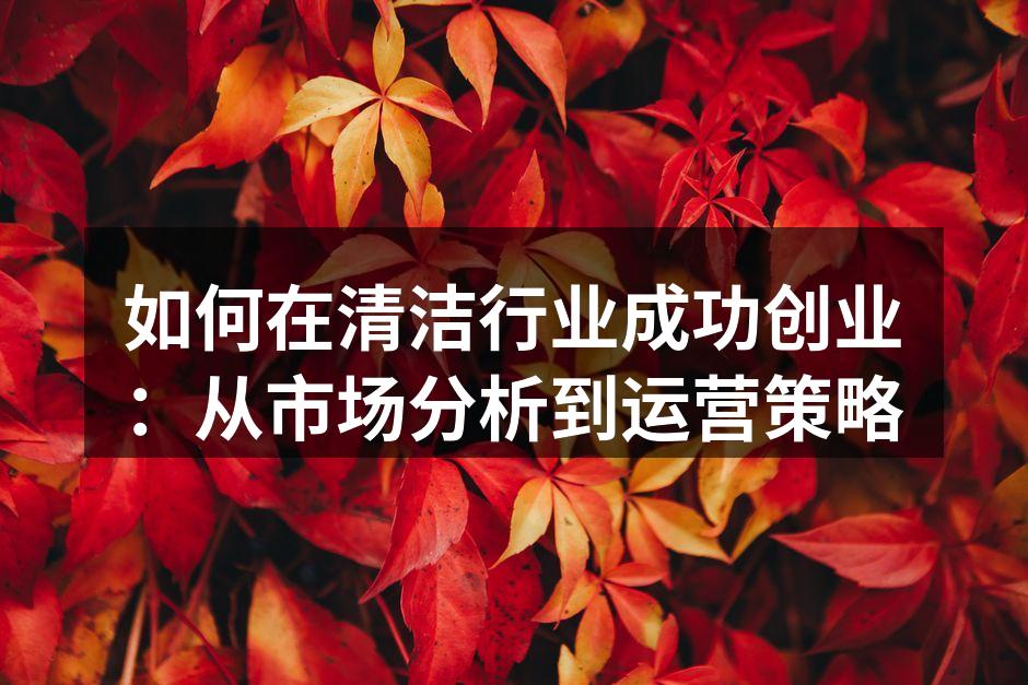 如何在清洁行业成功创业：从市场分析到运营策略
