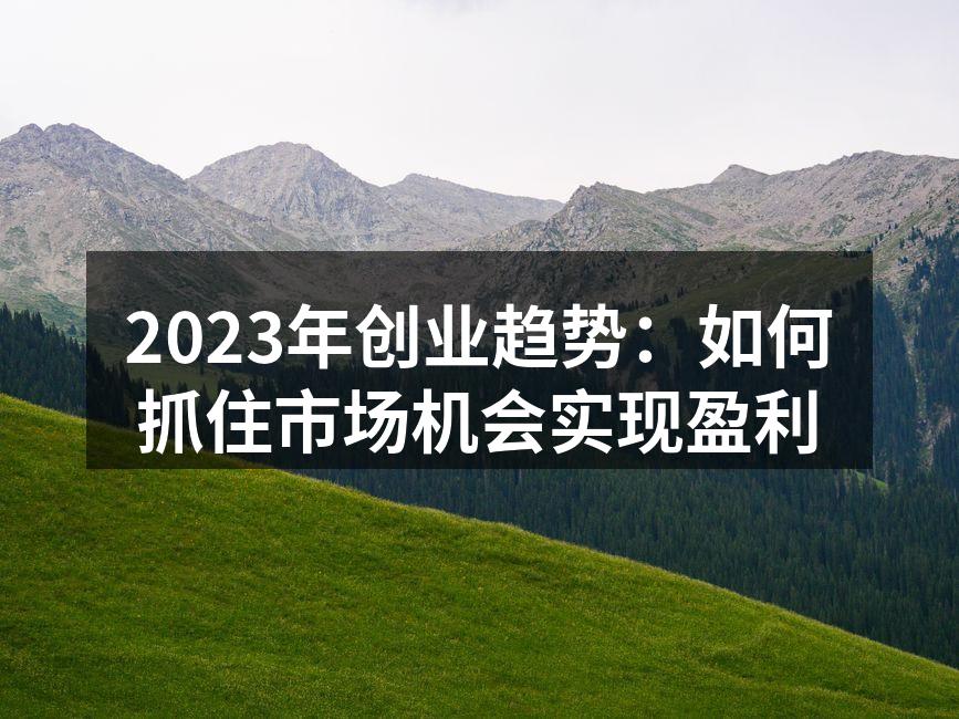 2023年创业趋势：如何抓住市场机会实现盈利